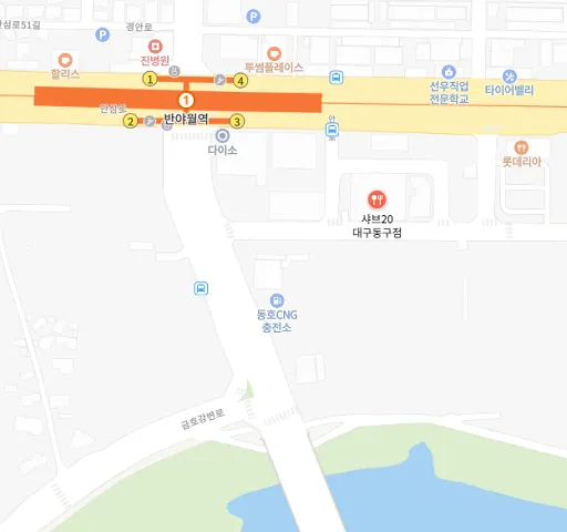 샤브20 대구동구점 네이버 지도 위치