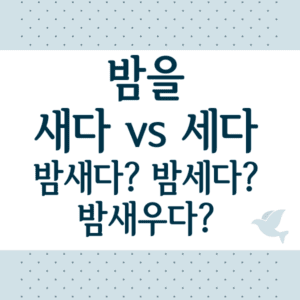 밤을 새다 세다 맞춤법 썸네일