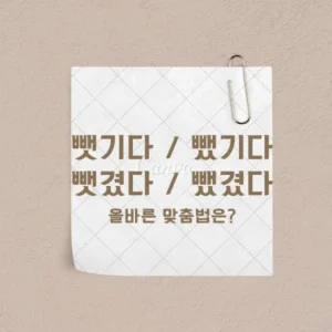 뺏기다 뺐기다 뺏겼다 뺐겼다