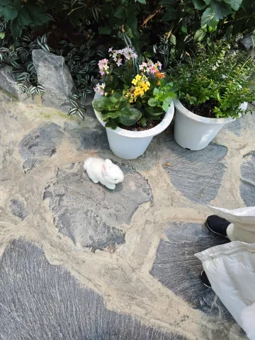 봉무공원 토끼인형 놓고옴