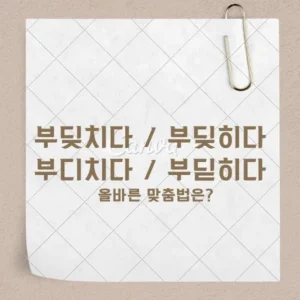 부딪히다 부딪치다 썸네일