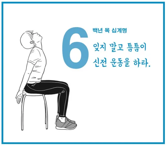 정선근 백년목 신전 운동
