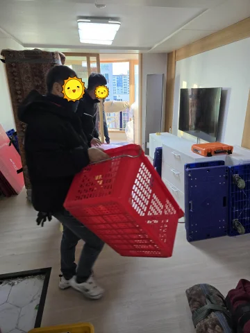 아정당 이사 대구 이사 과정