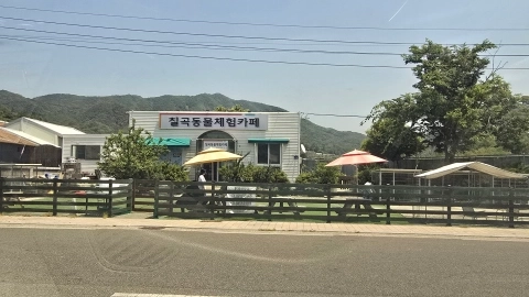 칠곡동물체험카페 입구