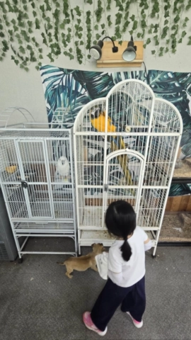칠곡동물체험카페 앵무새