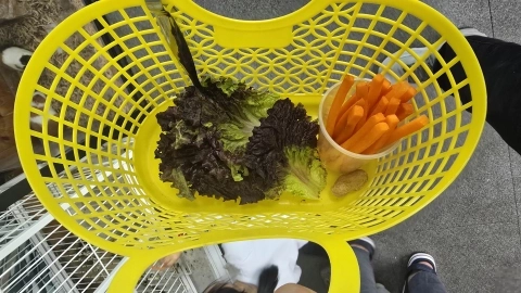 칠곡동물체험카페 먹이체험세트