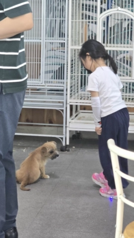 칠곡동물체험카페 강아지2
