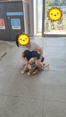 칠곡동물체험카페 강아지3