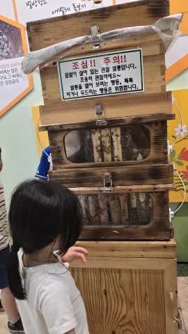칠곡꿀벌나라테마공원 벌